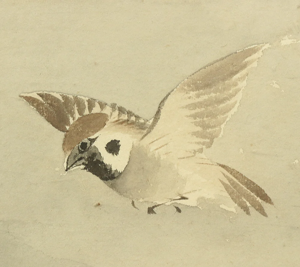 Product image 85
